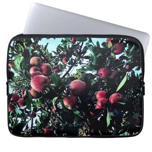 Appelen Laptop Sleeve (Voorkant)