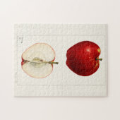 Appelen (Malus Domestica) Waterverf van vruchten Legpuzzel (Horizontaal)
