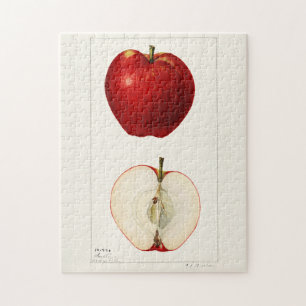 Appelen (Malus Domestica) Waterverf van vruchten Legpuzzel