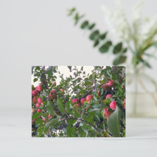 Appelen op appelbomen briefkaart (Staand voorkant)