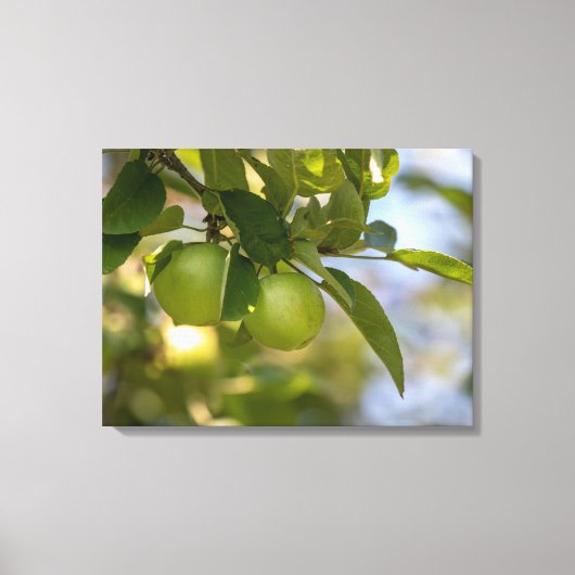 Appelen op bijkantoor canvas afdruk (Voorkant)