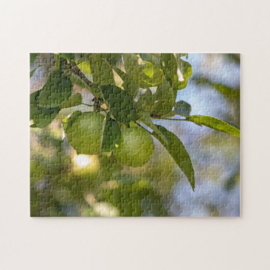Appelen op bijkantoor legpuzzel (Horizontaal)