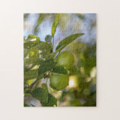 Appelen op bijkantoor legpuzzel (Verticaal)