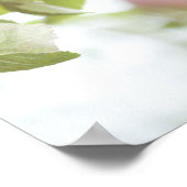 Appelen op boomvertakking. poster (Hoek)