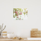 Appelen op boomvertakking. poster (Keuken)