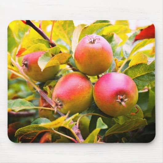 Appelen op de boom muismat (Voorkant)