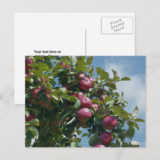 Appelen op de Natuur van de Boom Persoonlijk Briefkaart (Voorkant / Achterkant)