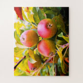 Appelen op een boom legpuzzel (Verticaal)