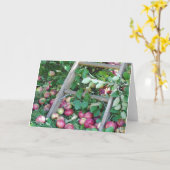 Appelen op een Dag van de Herfst Kaart (Gele Bloem)