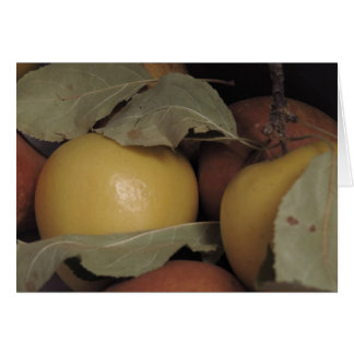 Appelen op peren