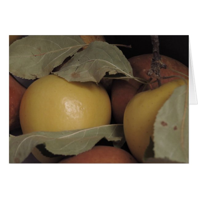 Appelen op peren (Voorkant Horizontaal)