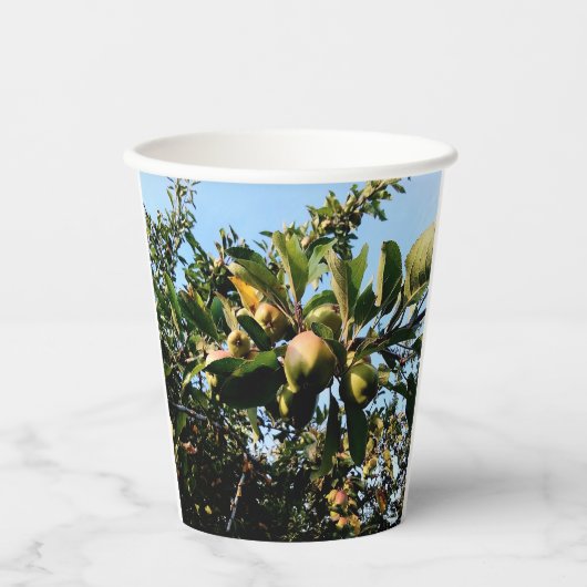Appelen Papieren Bekers (Voorkant)