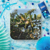 Appelen Papieren Bordje (Feest)