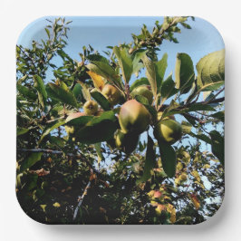 Appelen Papieren Bordje
