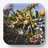 Appelen Papieren Bordje (Voorkant)