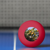 Appelen Pingpongbal (Net)