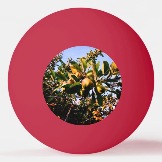 Appelen Pingpongbal (Voorkant)