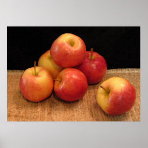 Appelen Poster