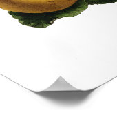 Appelen Poster (Hoek)