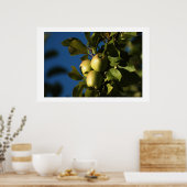 Appelen Poster (Keuken)
