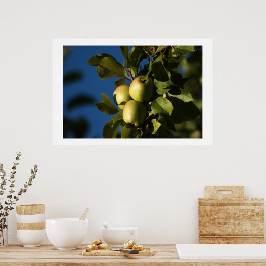 Appelen Poster (Keuken)