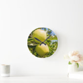 Appelen Ronde Klok (Huis)