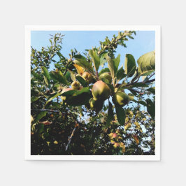 Appelen Servet