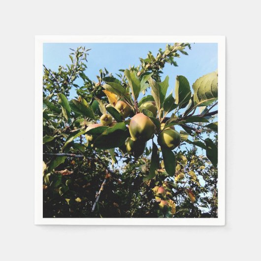 Appelen Servet (Voorkant)