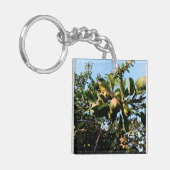 Appelen Sleutelhanger (Voorkant Links)