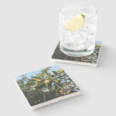 Appelen Stenen Onderzetter (Zijkant)