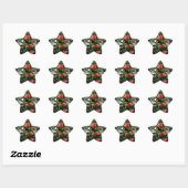 Appelen Ster Sticker (Vel)