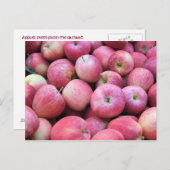 Appelen, vers van de boomgaard briefkaart (Voorkant / Achterkant)
