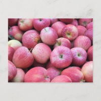 Appelen, vers van de boomgaard