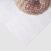 appelkabouter tissuepapier (Detail)