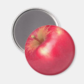 APPELMAGNEET VOOR KOELDEUREN MAGNEET (Voorkant / Achterkant)