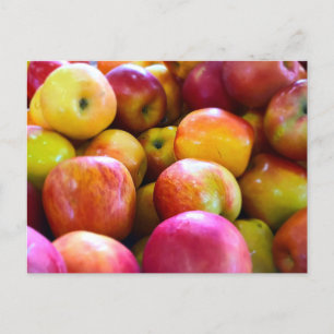 appelmarkt voor landbouwers briefkaart