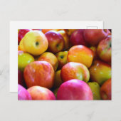 appelmarkt voor landbouwers briefkaart (Voorkant / Achterkant)