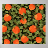 Appeloogst: groene bladeren  poster (Voorkant)