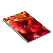 appeloogst notitieboek (Rechterzijde)