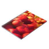 appeloogst notitieboek (Linkerzijde)
