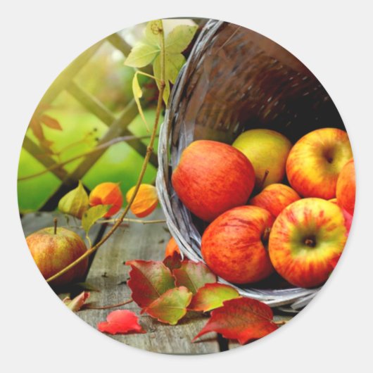 Appeloogst Ronde Sticker (Voorkant)