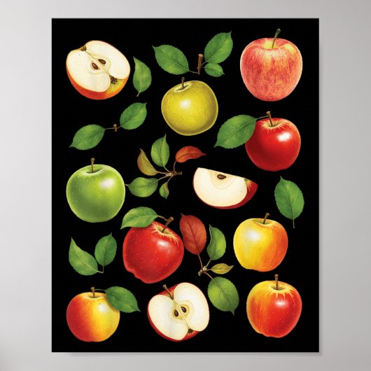 Appelrassen Verschillende Soorten Appelplukker App Poster (Voorkant)