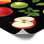 Appelrassen Verschillende Soorten Appelplukker Oog Poster (Hoek)