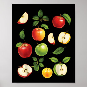 Appelrassen Verschillende Soorten Appelplukker Oog Poster