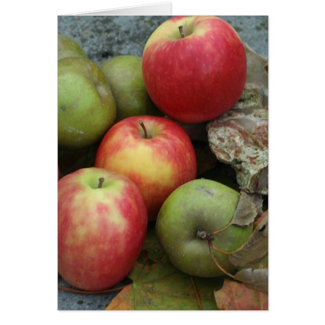 appels (Voorkant)