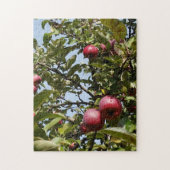 Appels aan de appelboom legpuzzel (Verticaal)