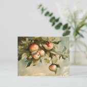 Appels aan een tak briefkaart (Staand voorkant)