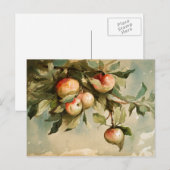 Appels aan een tak briefkaart (Voorkant / Achterkant)