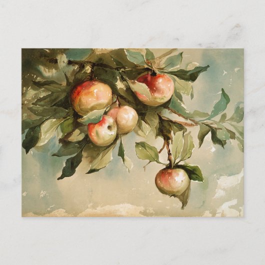 Appels aan een tak briefkaart (Voorkant)