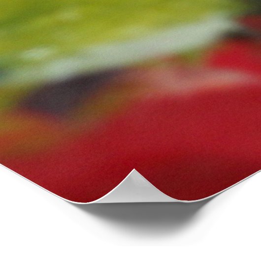 appels afdrukken poster (Hoek)